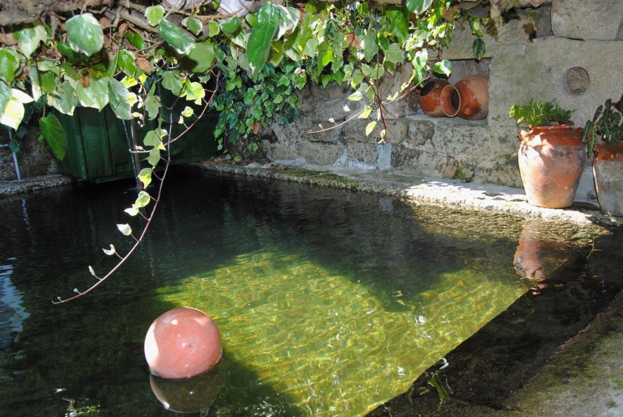 Casa De Cerqueda Daire Celorico De Basto Dış mekan fotoğraf