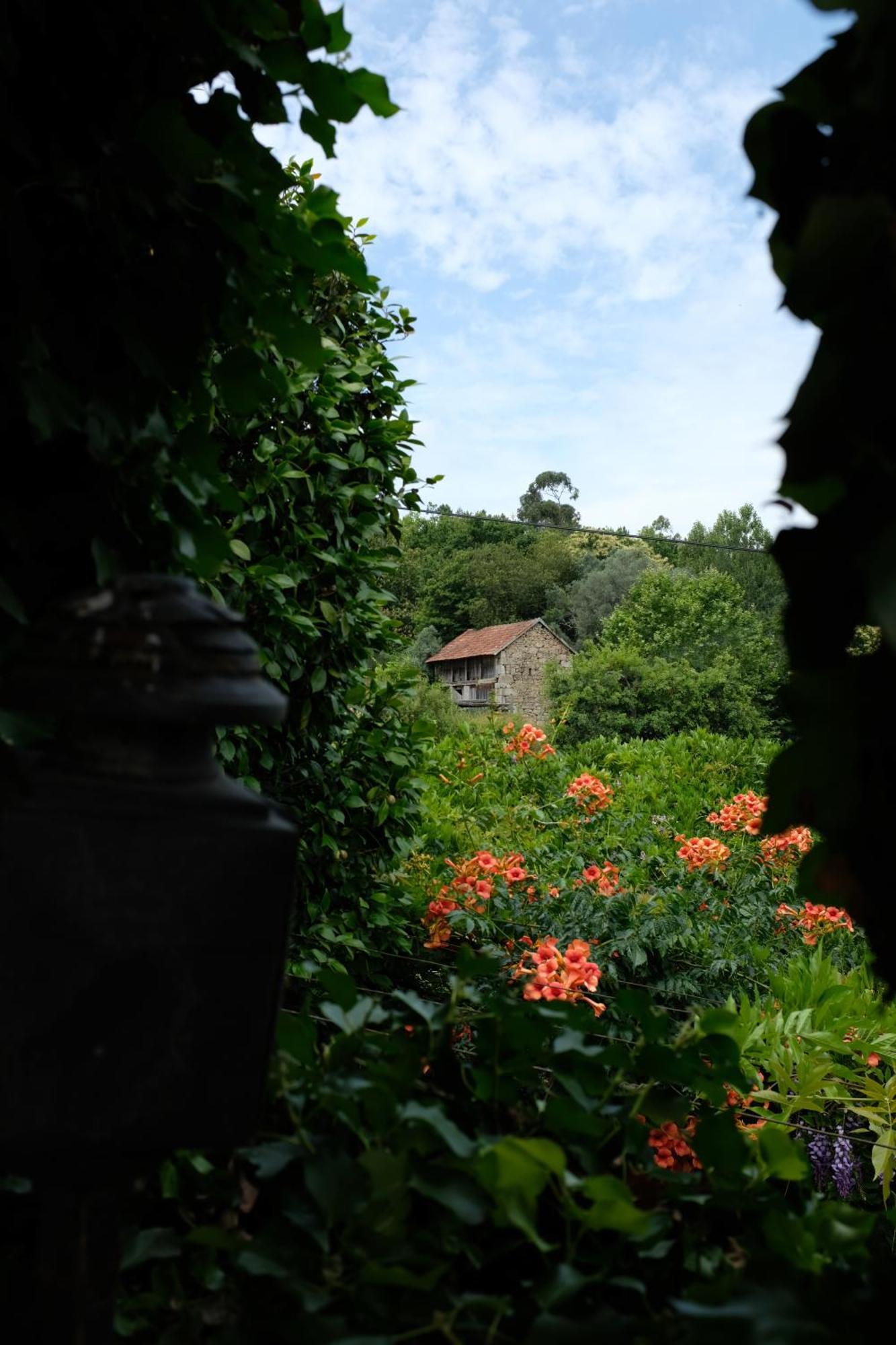 Casa De Cerqueda Daire Celorico De Basto Dış mekan fotoğraf