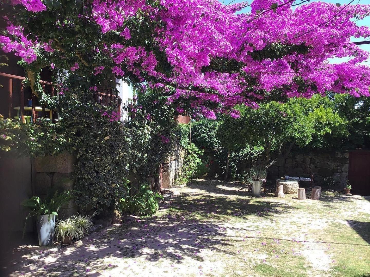 Casa De Cerqueda Daire Celorico De Basto Dış mekan fotoğraf