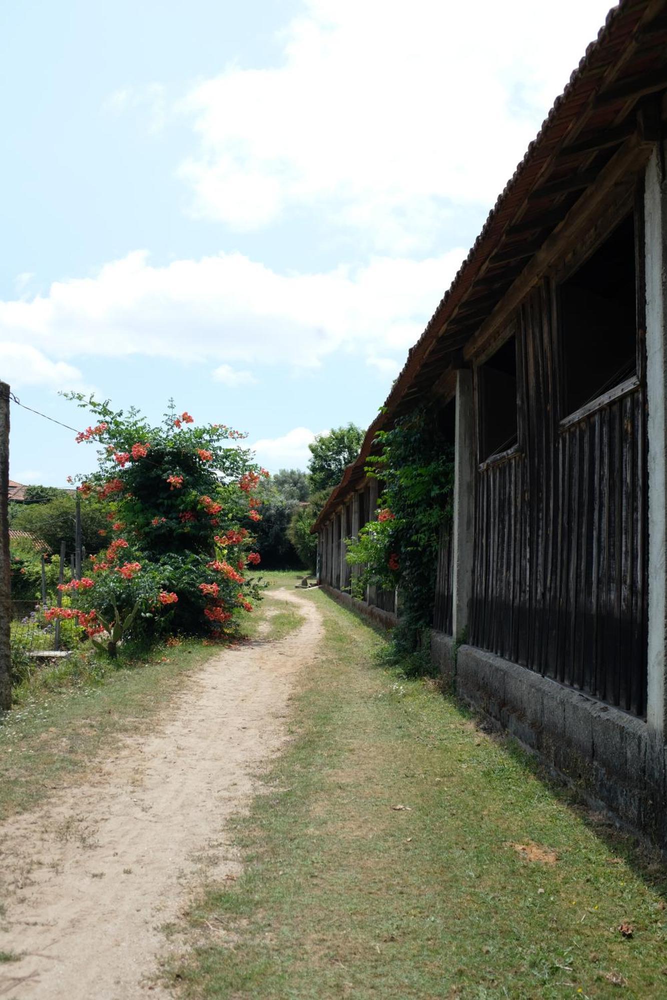 Casa De Cerqueda Daire Celorico De Basto Dış mekan fotoğraf