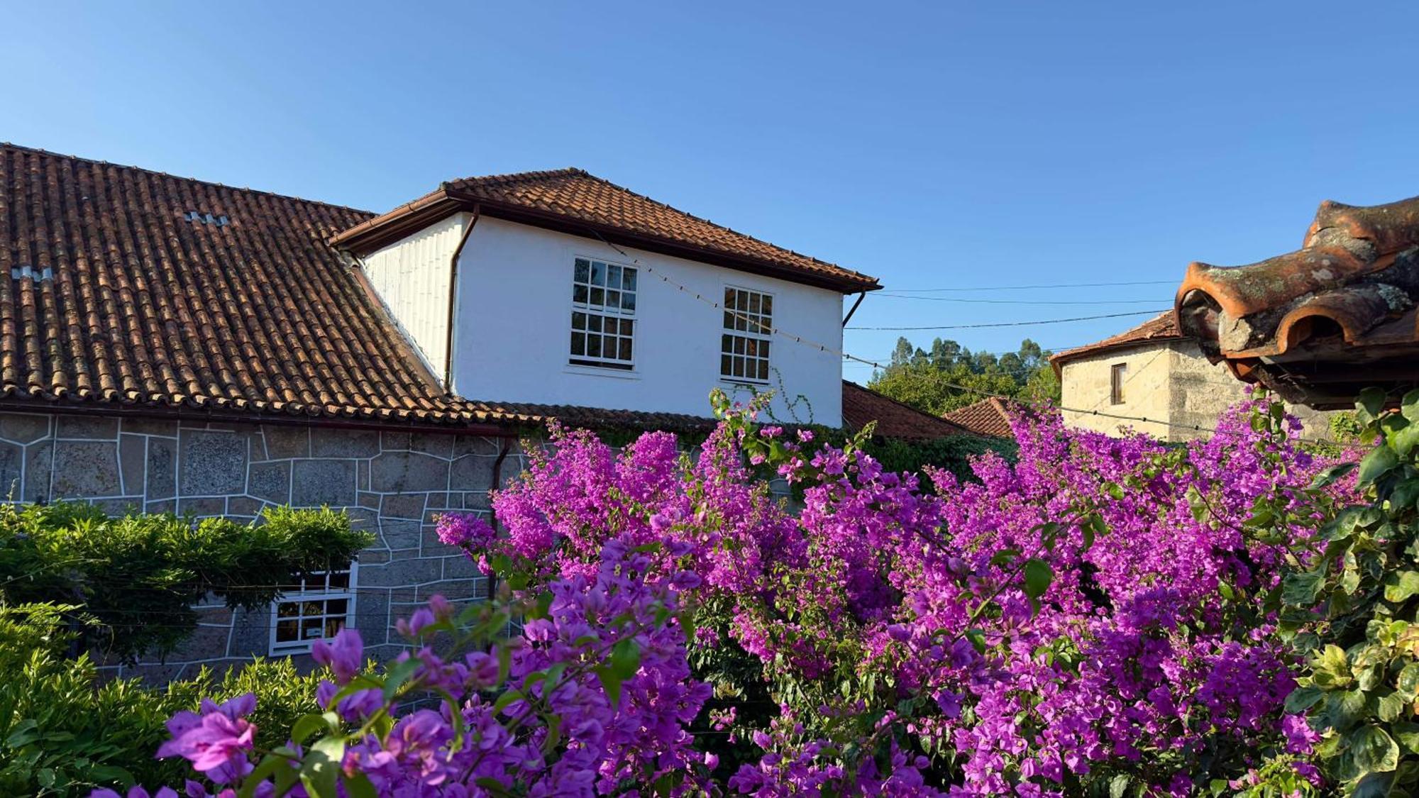 Casa De Cerqueda Daire Celorico De Basto Dış mekan fotoğraf