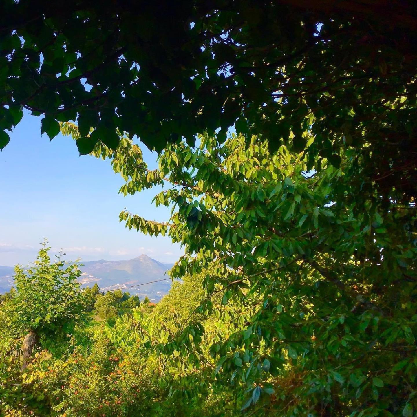 Casa De Cerqueda Daire Celorico De Basto Dış mekan fotoğraf