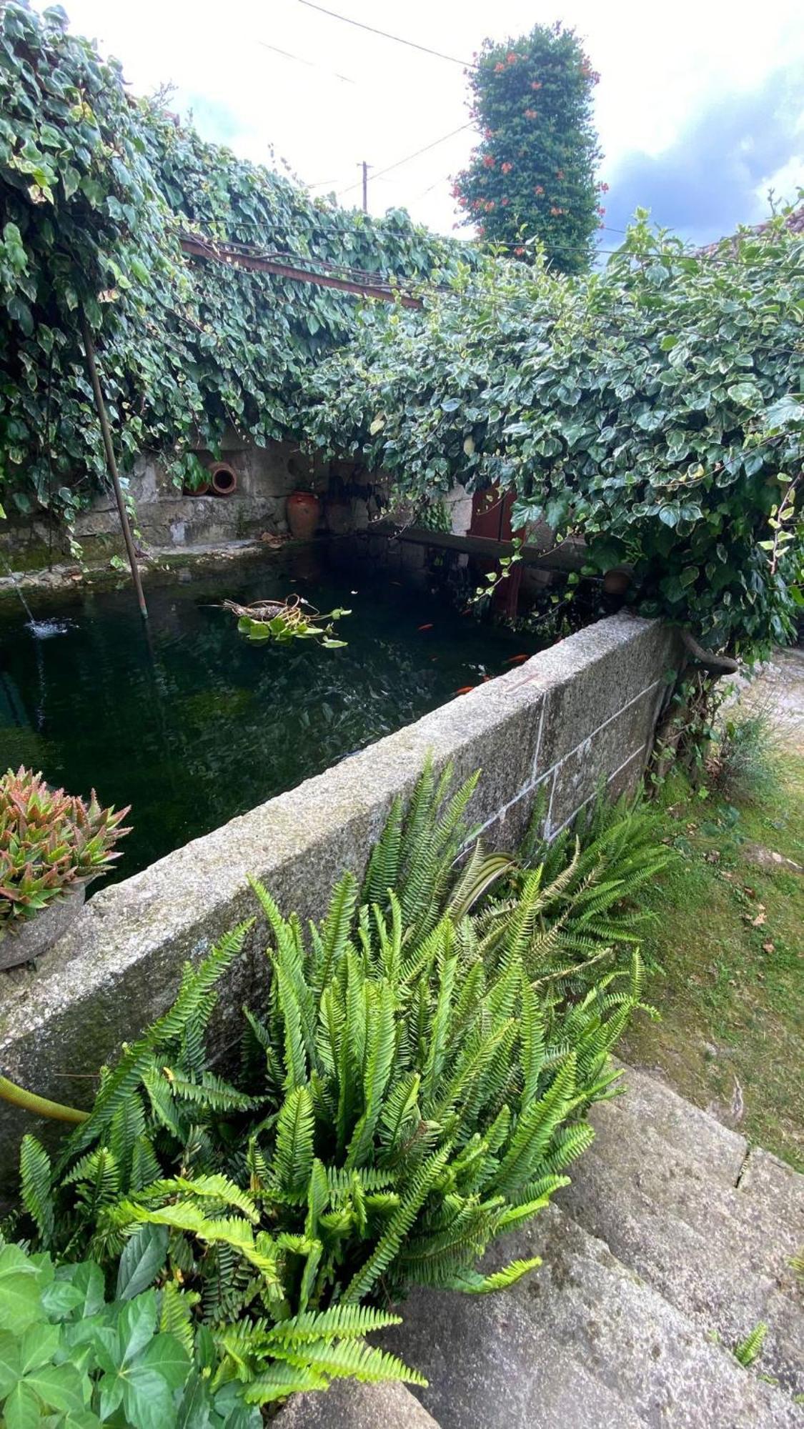 Casa De Cerqueda Daire Celorico De Basto Dış mekan fotoğraf